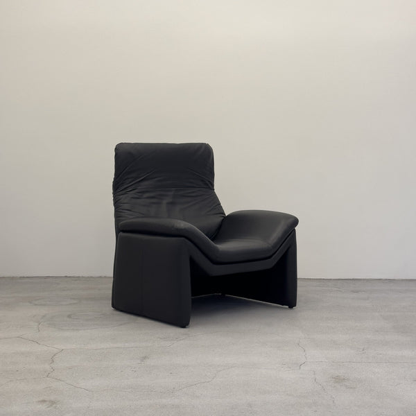 DS-50 Armchair by Hans Kaufeld for De Sede