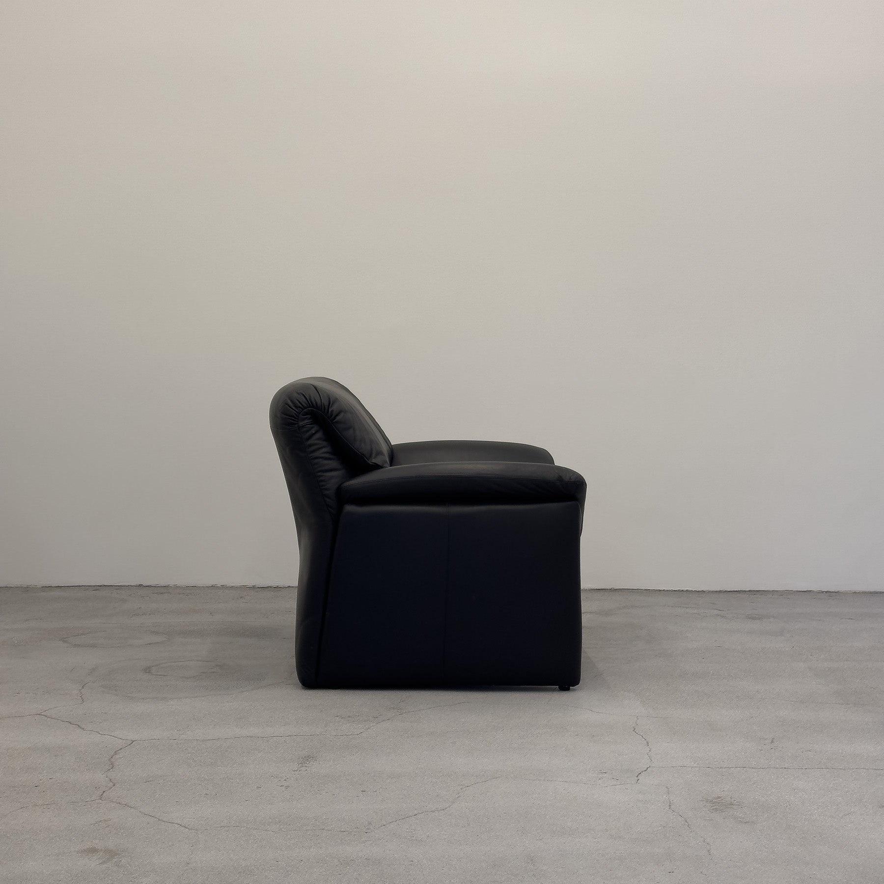 DS-50 Armchair by Hans Kaufeld for De Sede