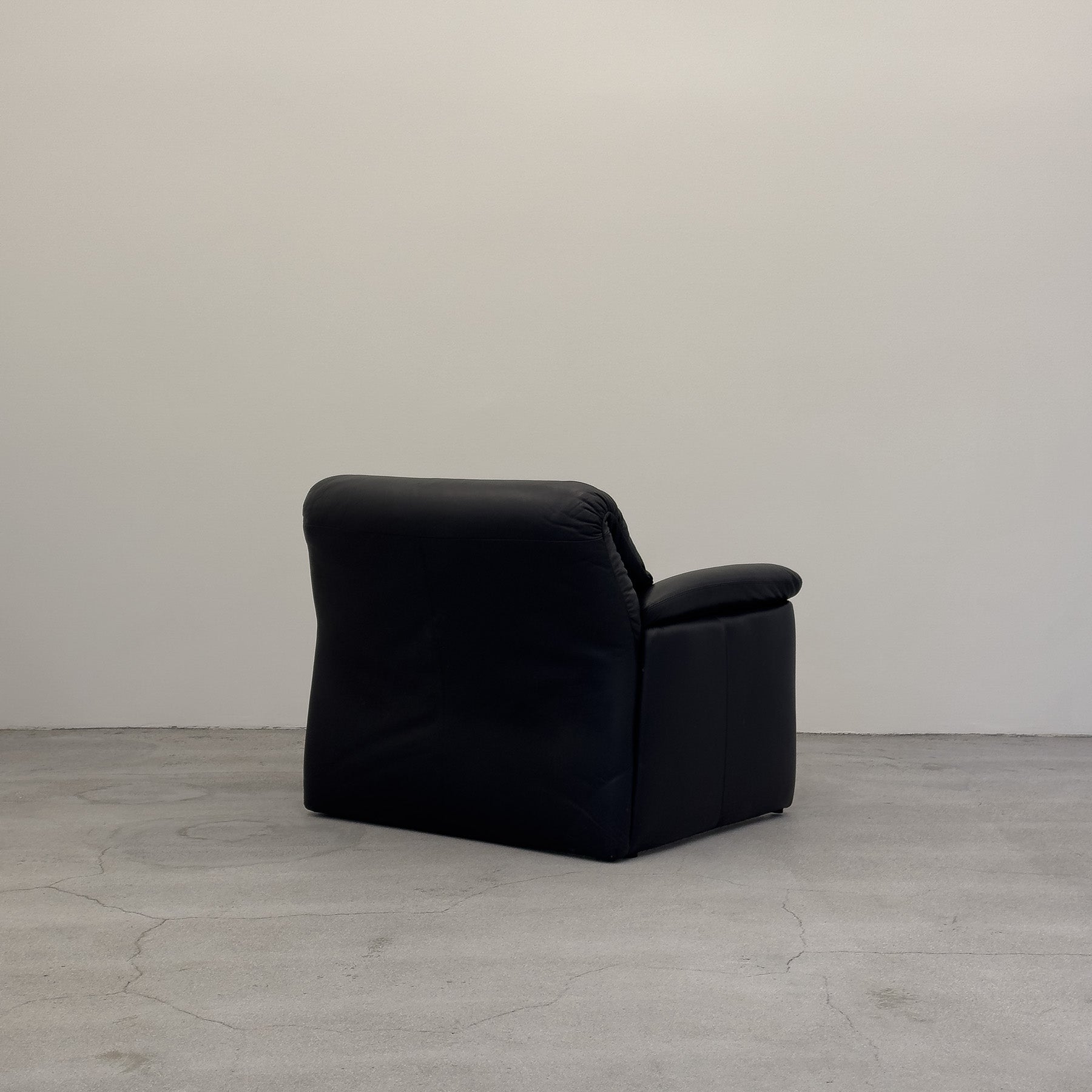 DS-50 Armchair by Hans Kaufeld for De Sede