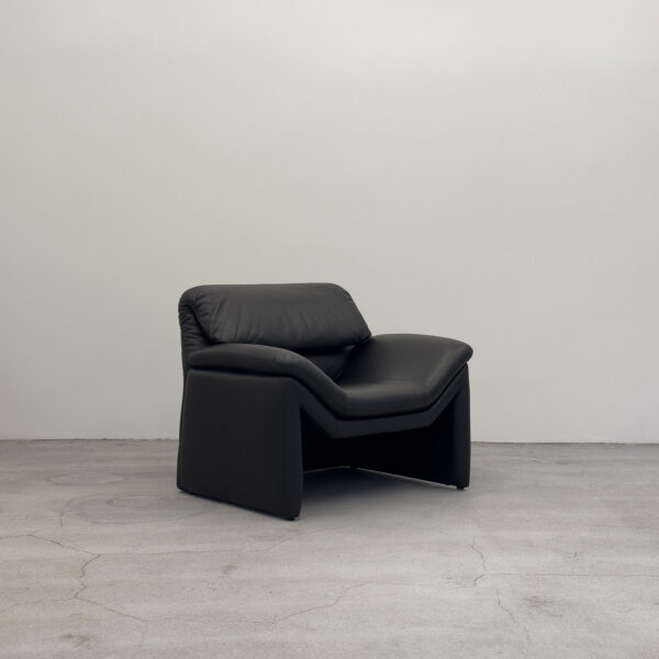 DS-50 Armchair by Hans Kaufeld for De Sede